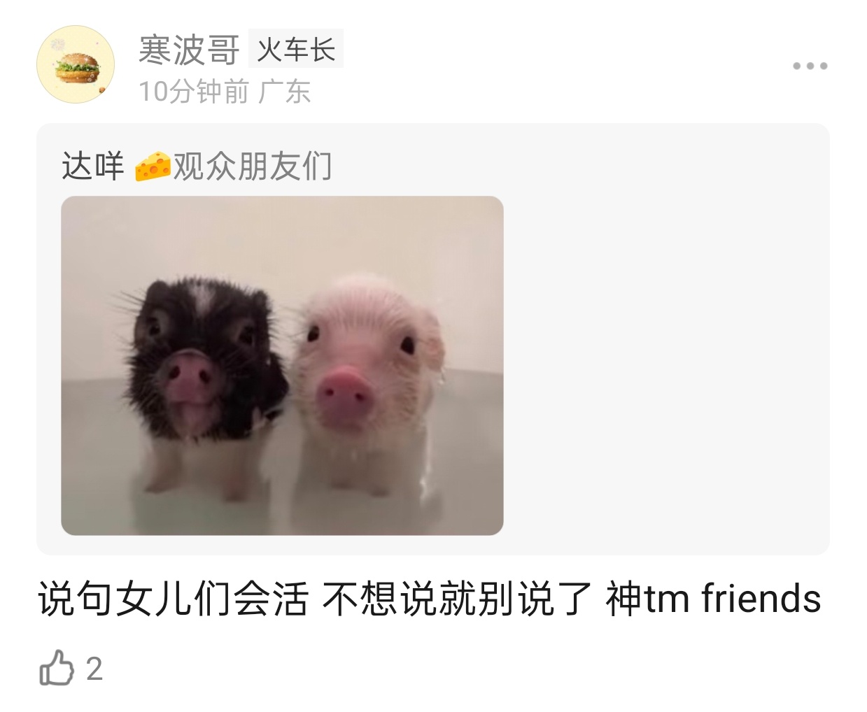有病吧，好大日子硬要尬扇，friends怎么你了？很正常的用语又怎么让敏感的你不