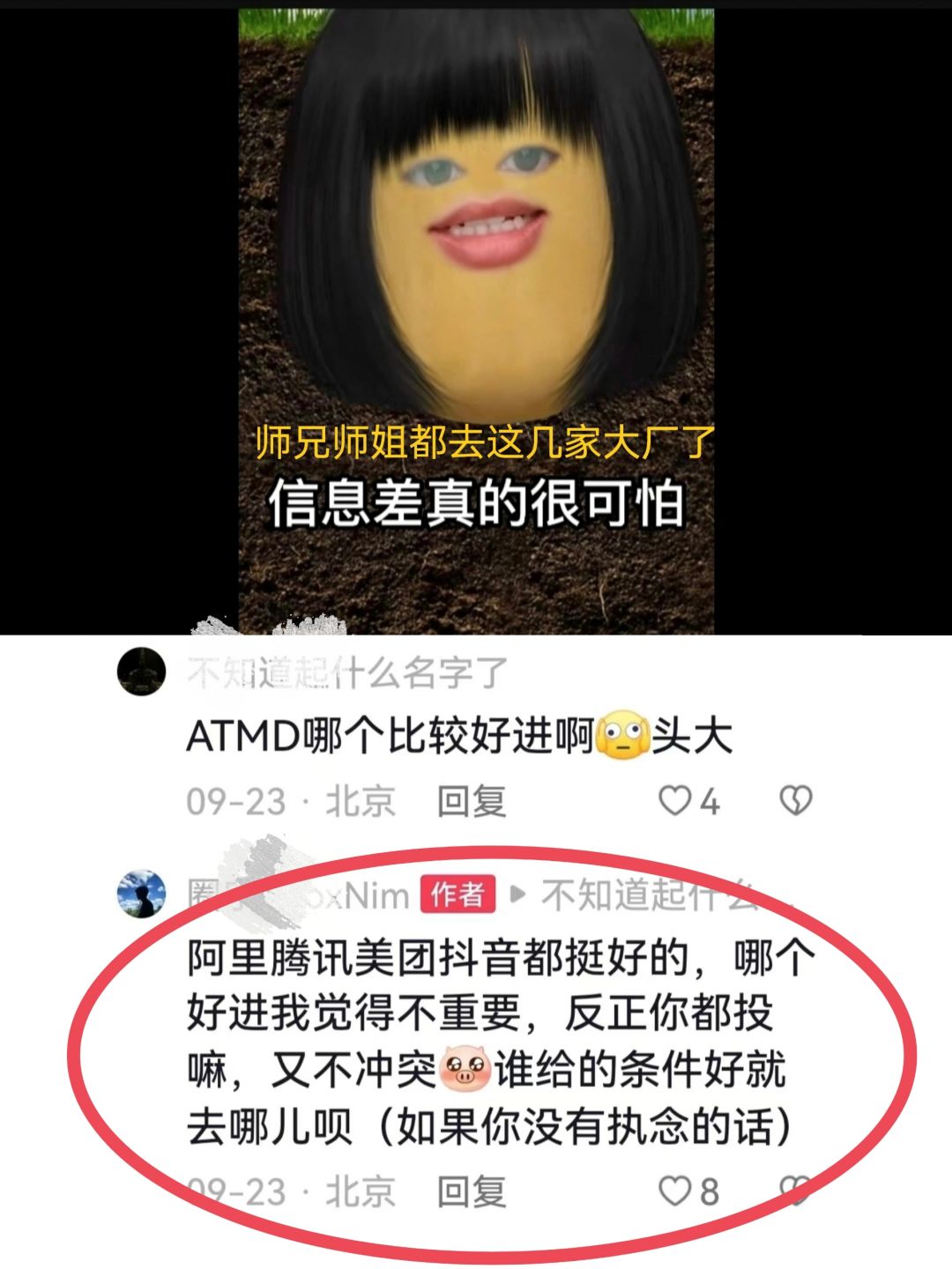 怎么还有大学生不知道去哪实习啊!!我要疯了