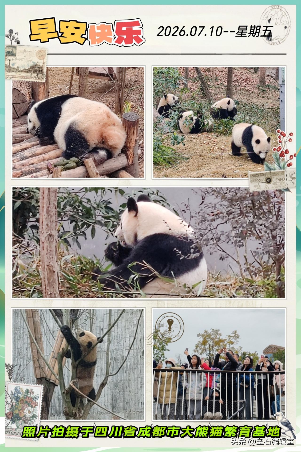 给别人快乐的人，一定很善良；给自己快乐的人，一定很聪明；缘是天意，情是人意，问候