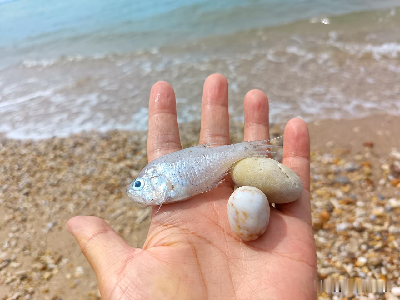 老伴已经退休两个月了，我也结束了多年的独居生活，盼望着他退休，这样自己就不用每天