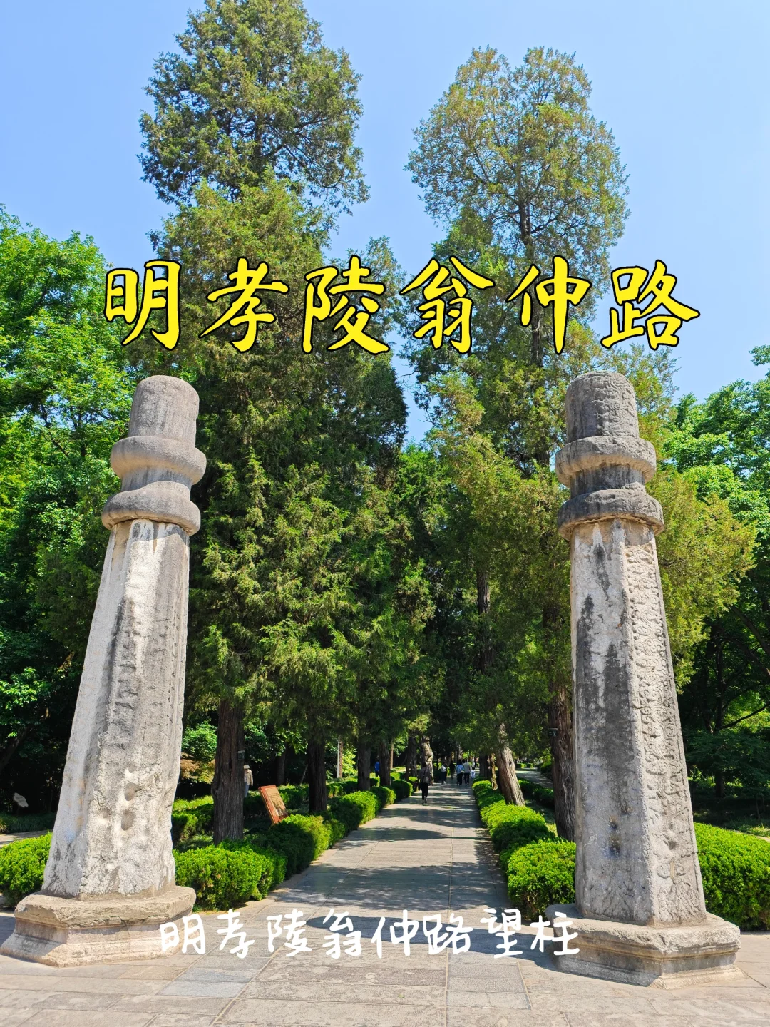 【南京访古】明孝陵翁仲路石像