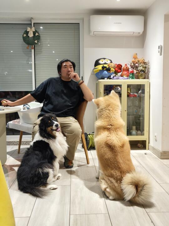 来看我的烈性犬