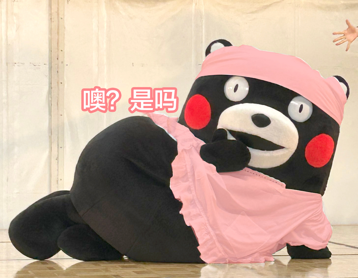 今天的表情包来了～～ ​​​