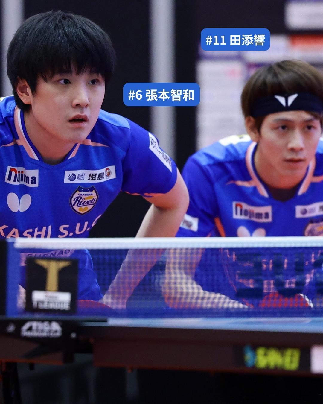 251115 冈山 Vs. 静冈张本智和图片两张。cr：T.LEAGUE 