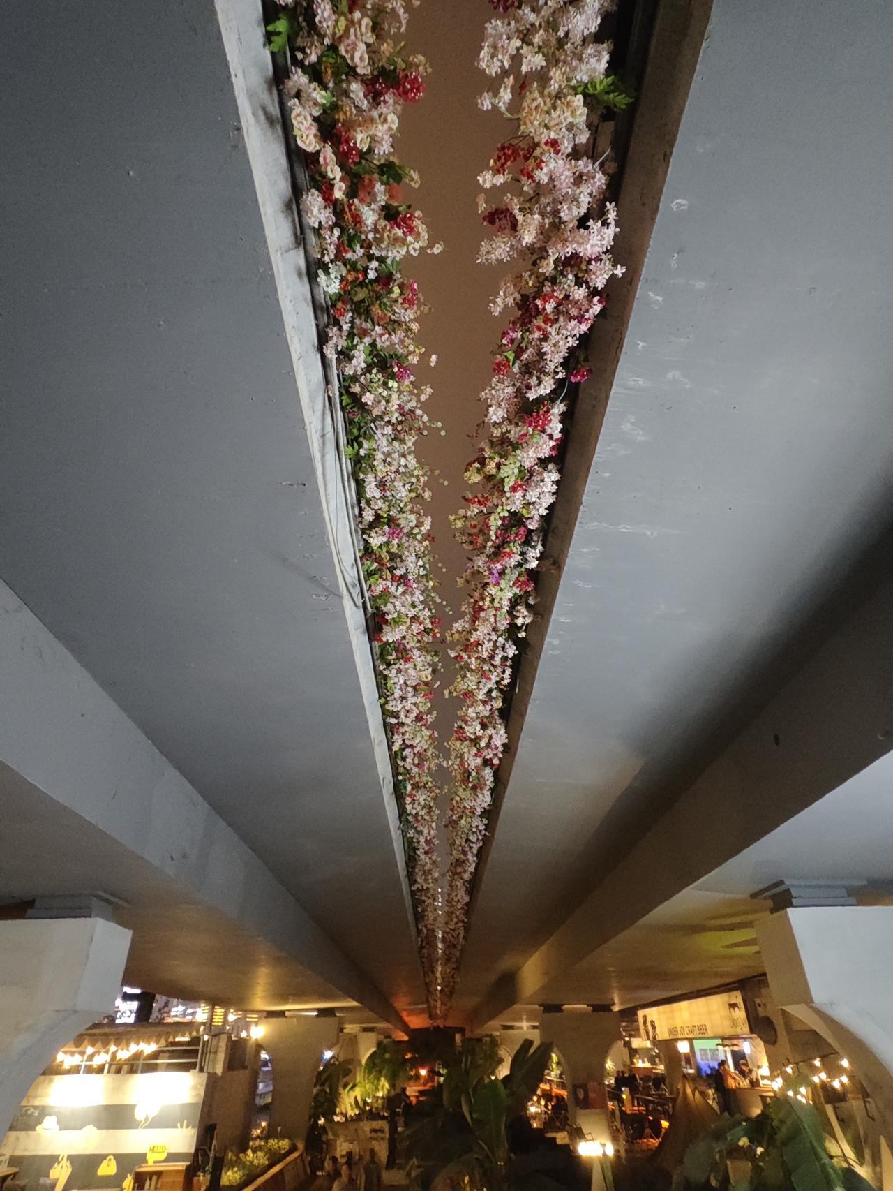 重庆南滨路高架桥下的美景，硕果累累，生机盎然，山花烂漫，美景令人陶醉。
白天可以
