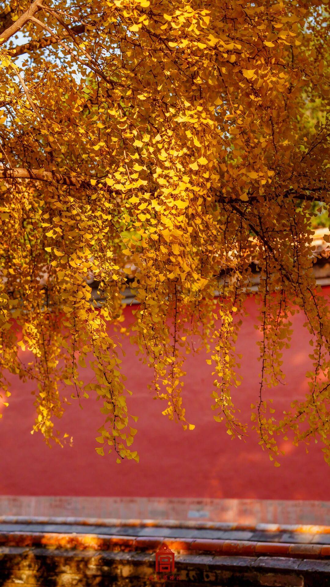 -6IjQMuhfue3OCJQ


吃他汀降胆固醇，会不会把“好胆固醇”也降低