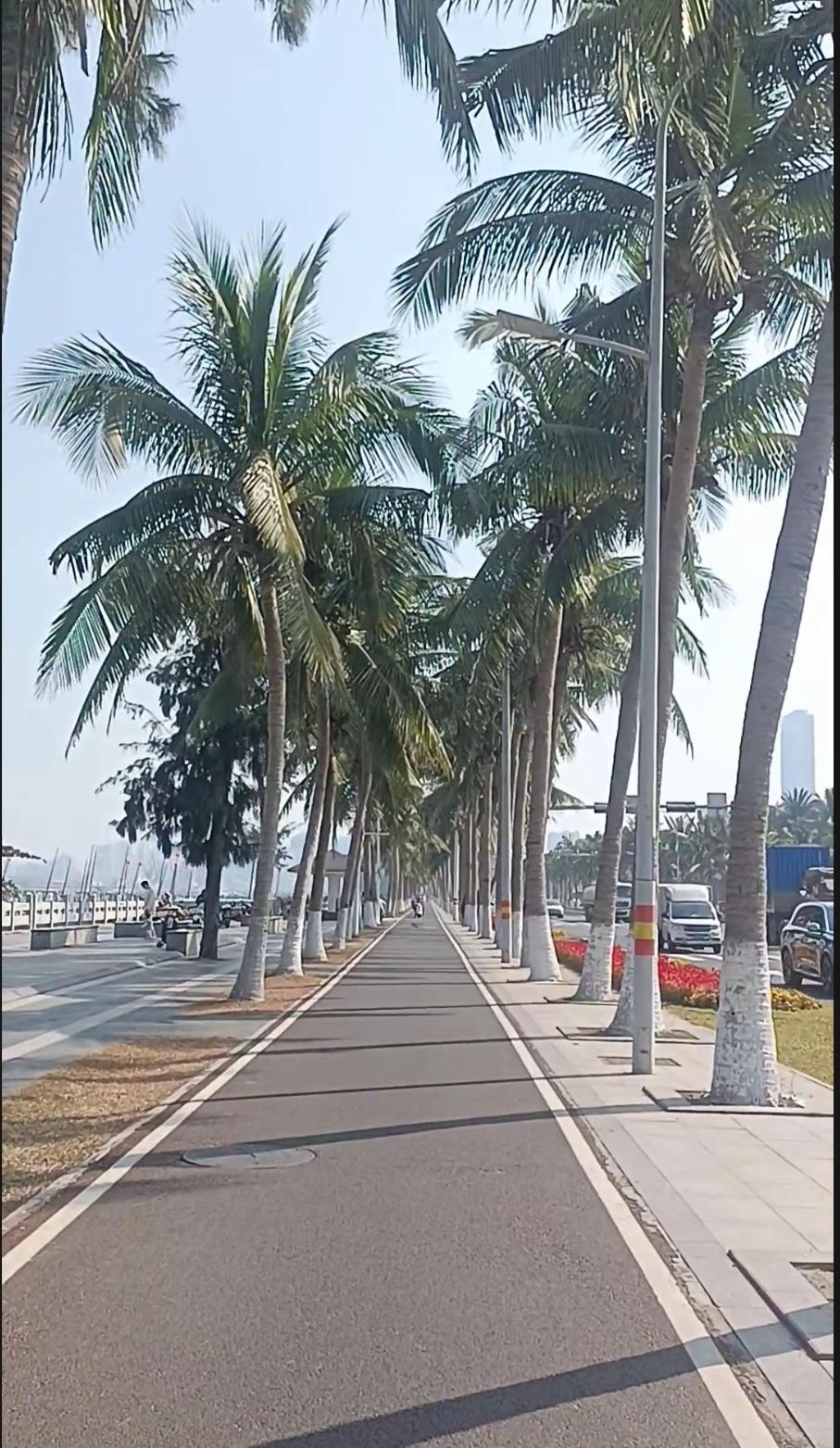 最好的社会制度，人民在向往，坚信党一定能实现，听一听民声吧