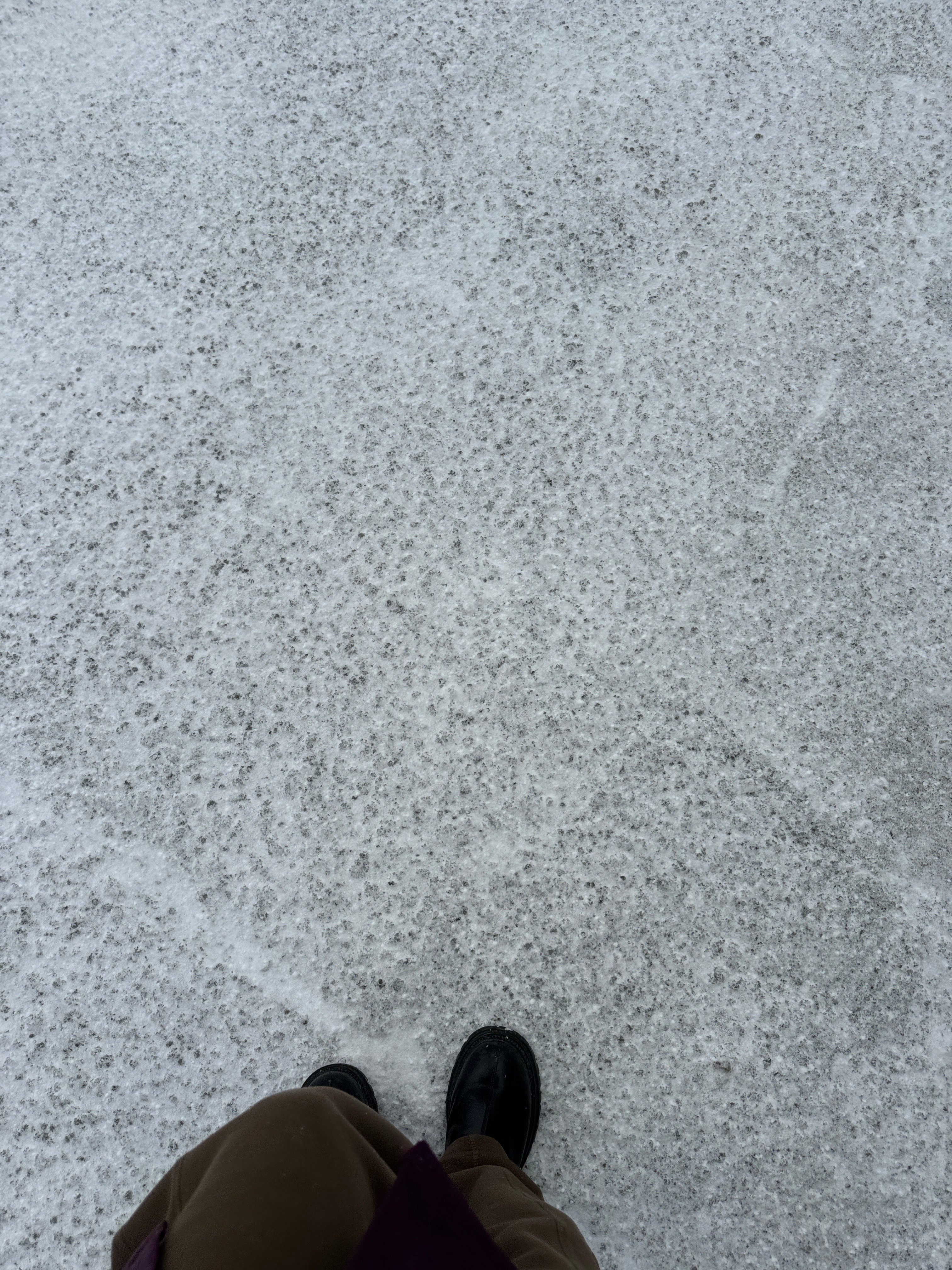 今天早上拉开窗帘才发现下雪了（天气预报并没有报），马路上都是咯吱咯吱的冰雪，我的