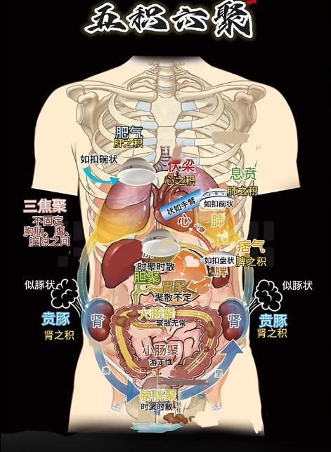 五积六聚藏于身！老中医手绘图揭穿 “积” 病真相：三焦不通，百病皆生
大家好，我