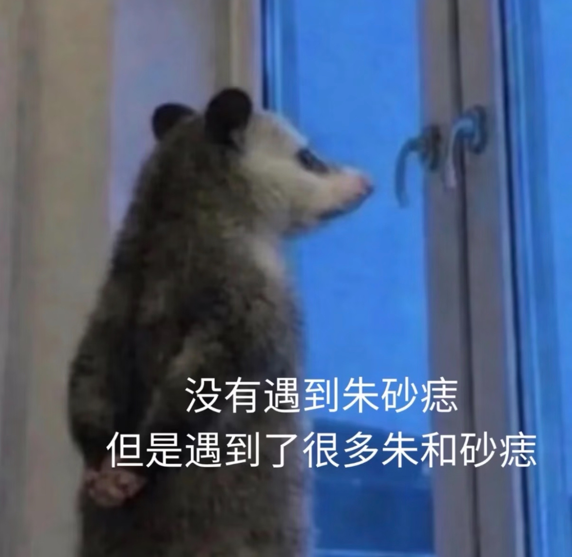 爸呀 又有人对张杰总导演身份眼馋了罗列几个含金量堪比一颗鸟屎的身份  真的别出来