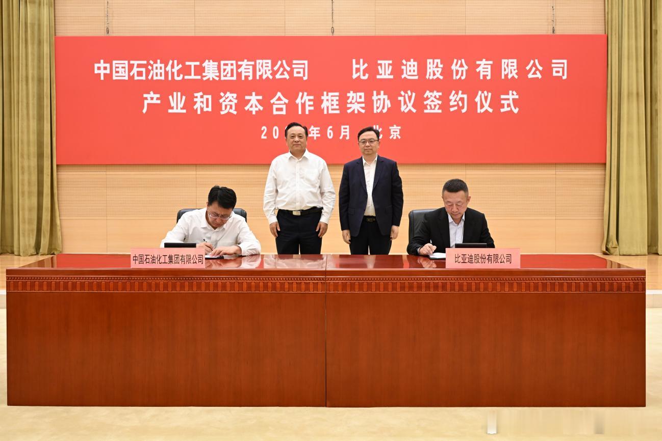 2026 年 6 月 3 日，比亚迪与中国石化在北京完成新一轮战略合作框架协议签