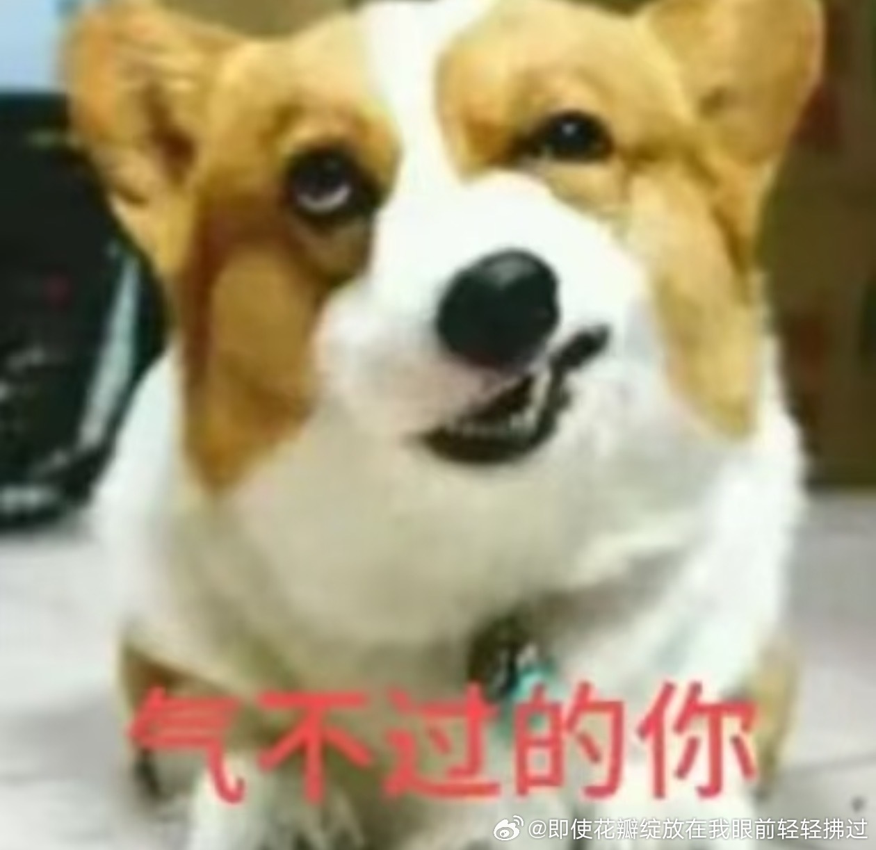 情侣头像 