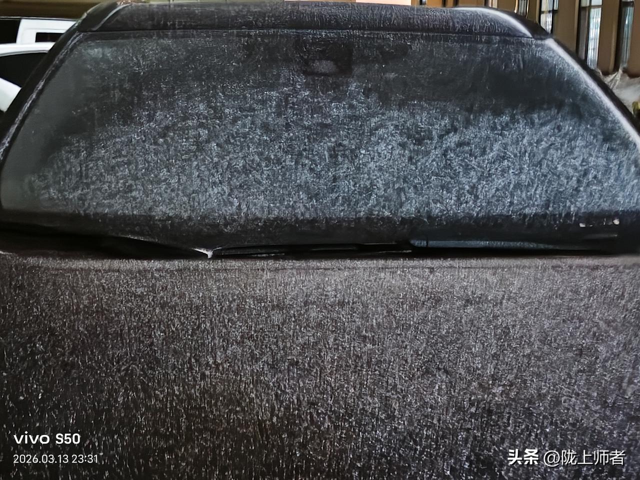 两天气温从最高的20度直接降到了零下7度，除了心脏受不了，这身体也扛不住，春天的