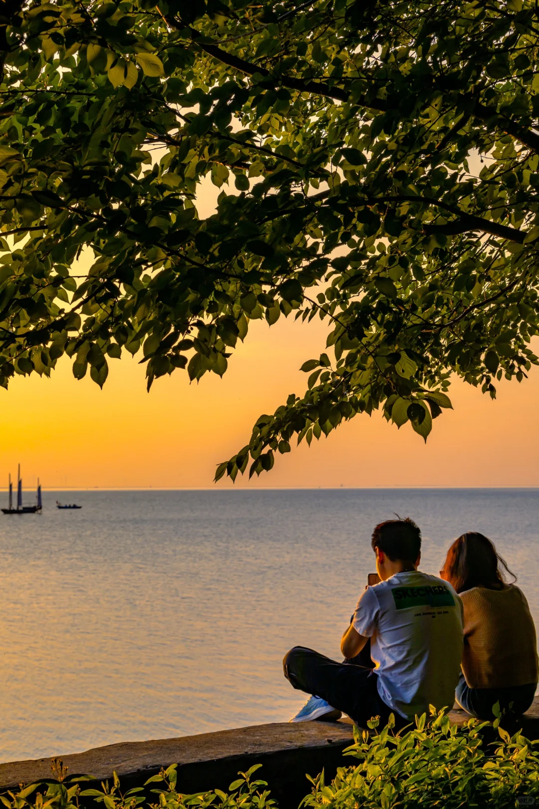 扬州人的嘴真严啊，这个日落也太哇塞了！