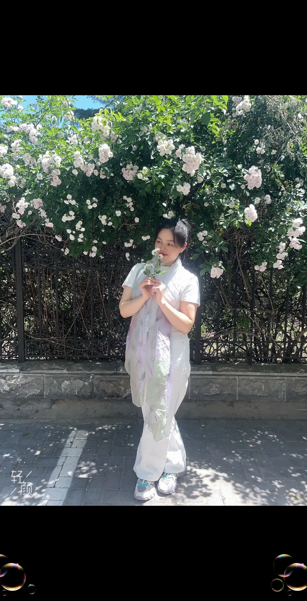 蔷薇花被爱着