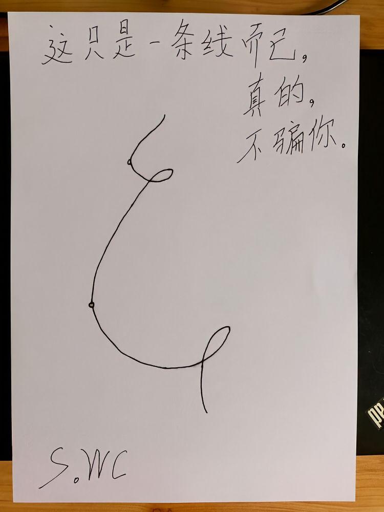 这只是一条线搞笑灵魂画手 简笔画 搞笑