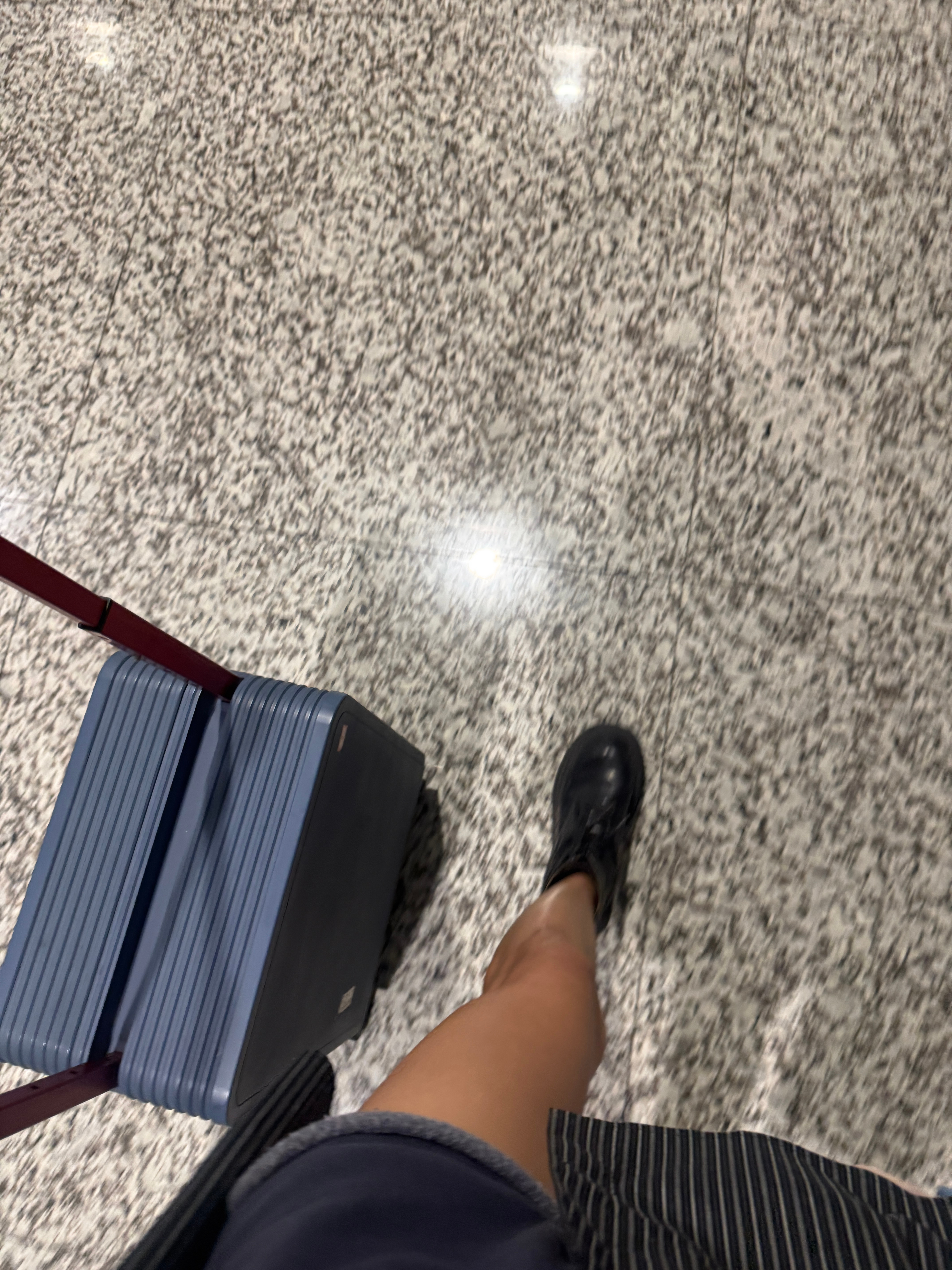 又出来流浪啦二萌流浪记[开学季][开学季][开学季]  ​​​