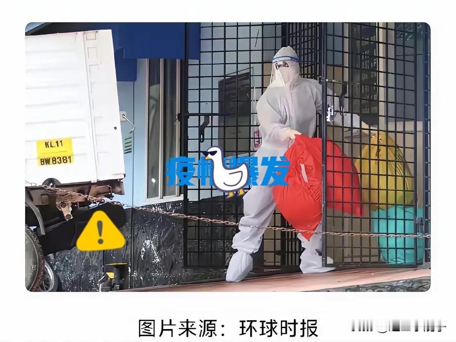 快讯！2026年1月印度西孟加拉邦暴发尼帕病毒疫情。

  截止目前，印度西孟加