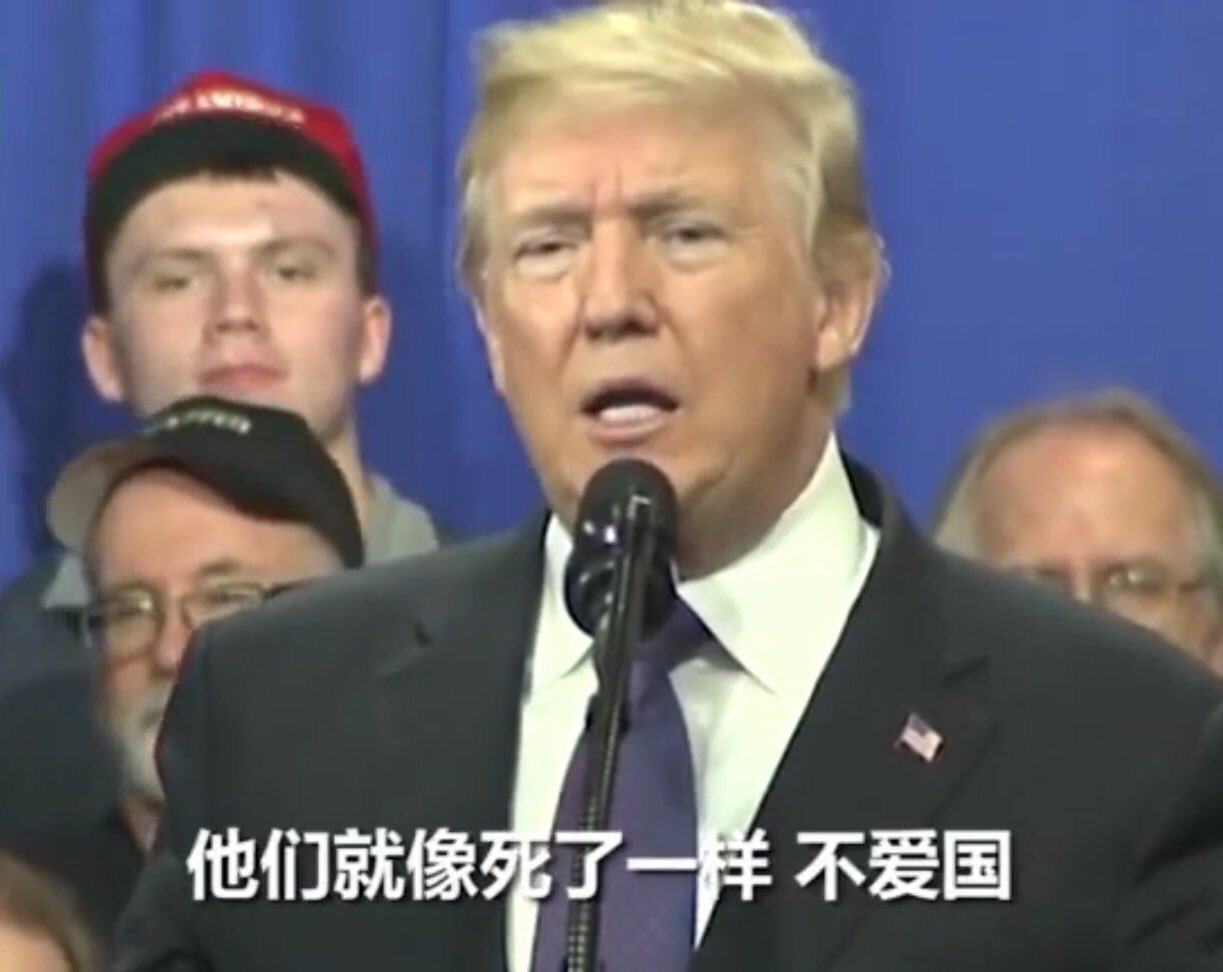 分享图片 ​​​