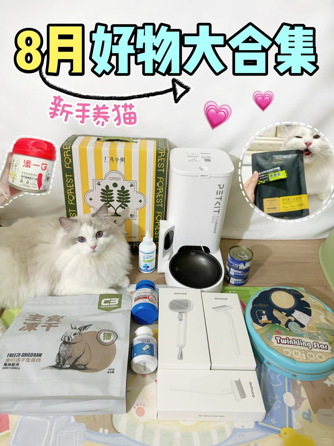 【新手养猫】8️⃣月好物大合集