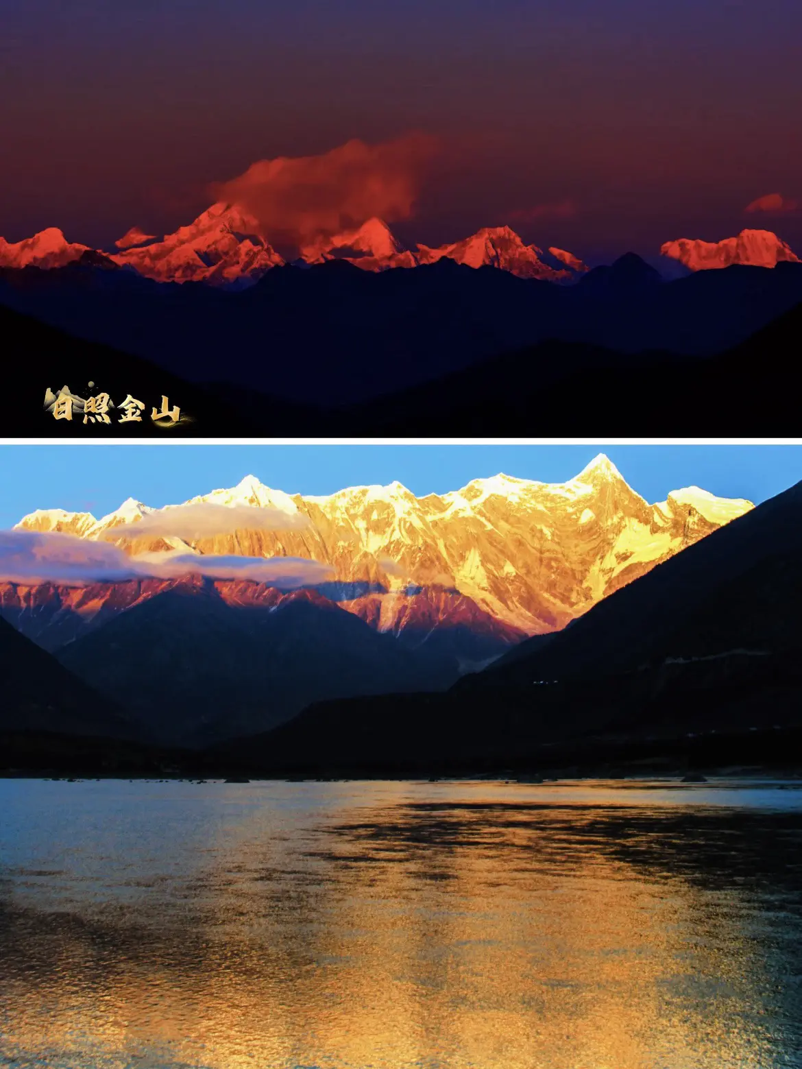 回复  愿所盼皆所愿