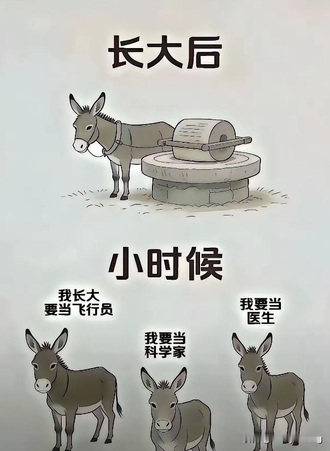 在各类养生方法中：
最优之选是少吃。
在诸多补阳方法里：
最佳方式是晒太阳。
在
