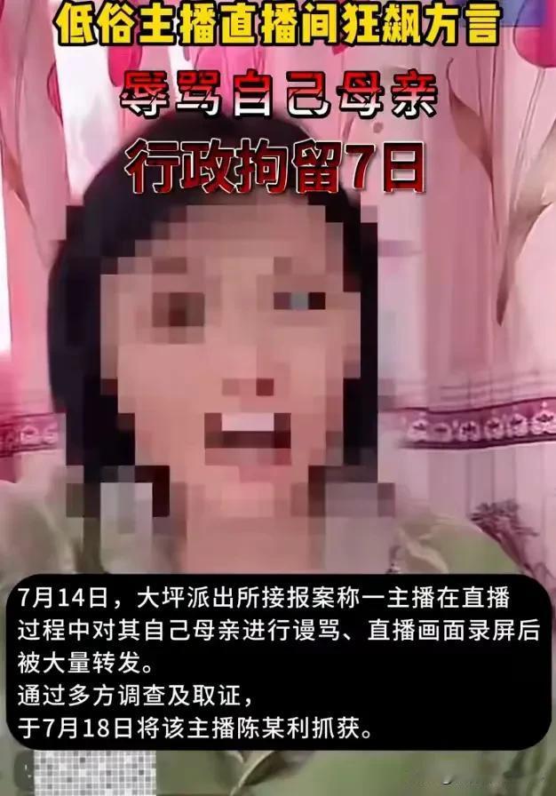 湖北咸宁一场直播，成了人性与流量的照妖镜。主播陈某利对着镜头，把田间劳作归来的母