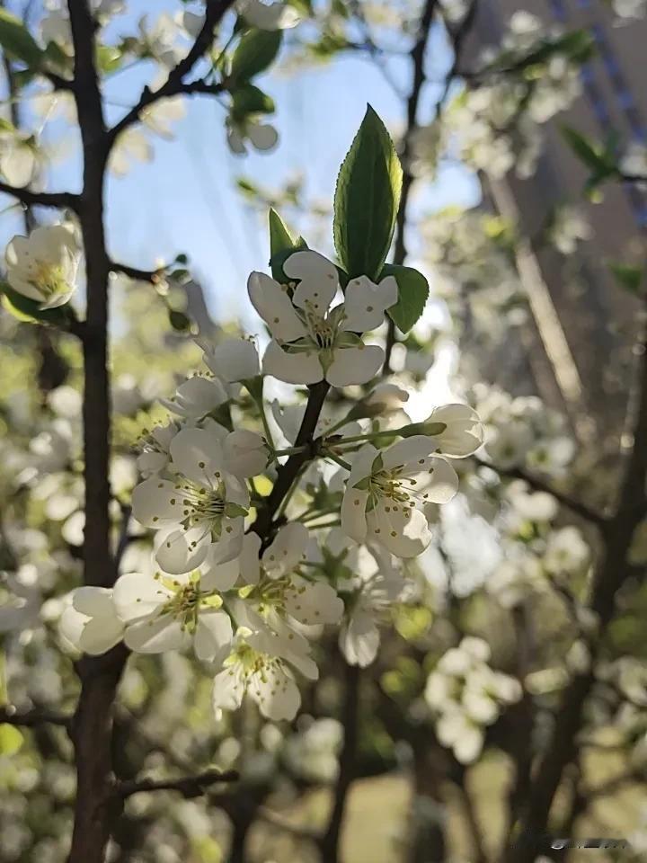 停止过度付出：你越讨好，别人越不珍惜
 
总有一种傻，是掏心掏肺对一个人好，把自
