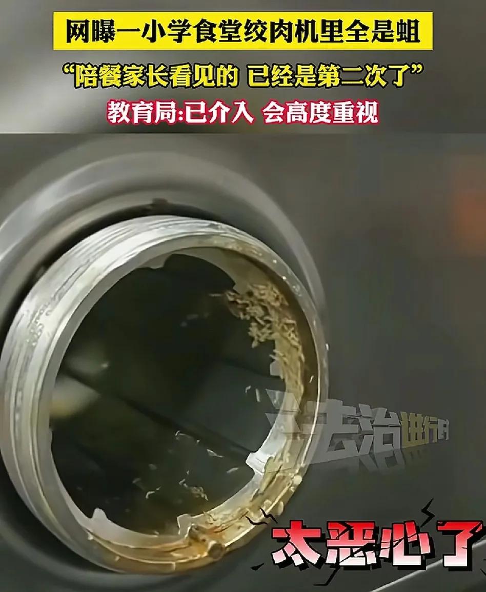 浙江余姚某学校家长陪餐发现绞肉机有活蛆！
官方通报属实，食堂已全面消杀，将严查相