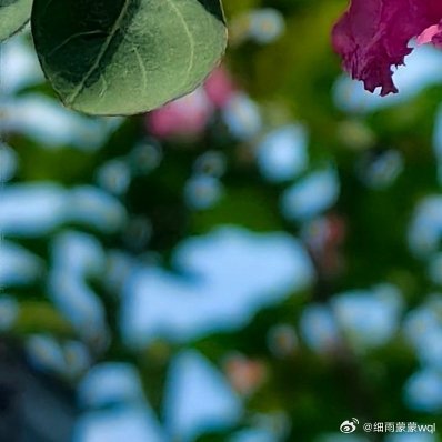 什么鲜花，我不需要，给我鲜花又能怎么，你们知道我们发生过什么吗 