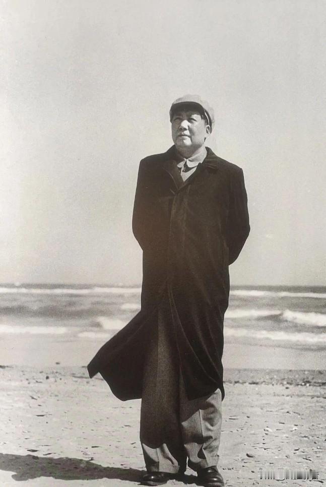 🎍红梅报喜，春满乾坤！⚔️🚀🙏敬爱的毛主席，感念您的革命气魄，致敬不朽的真