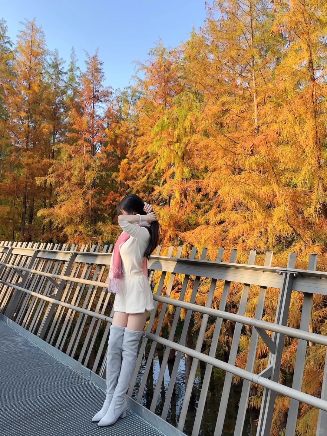 🍁福道水杉林红啦～
