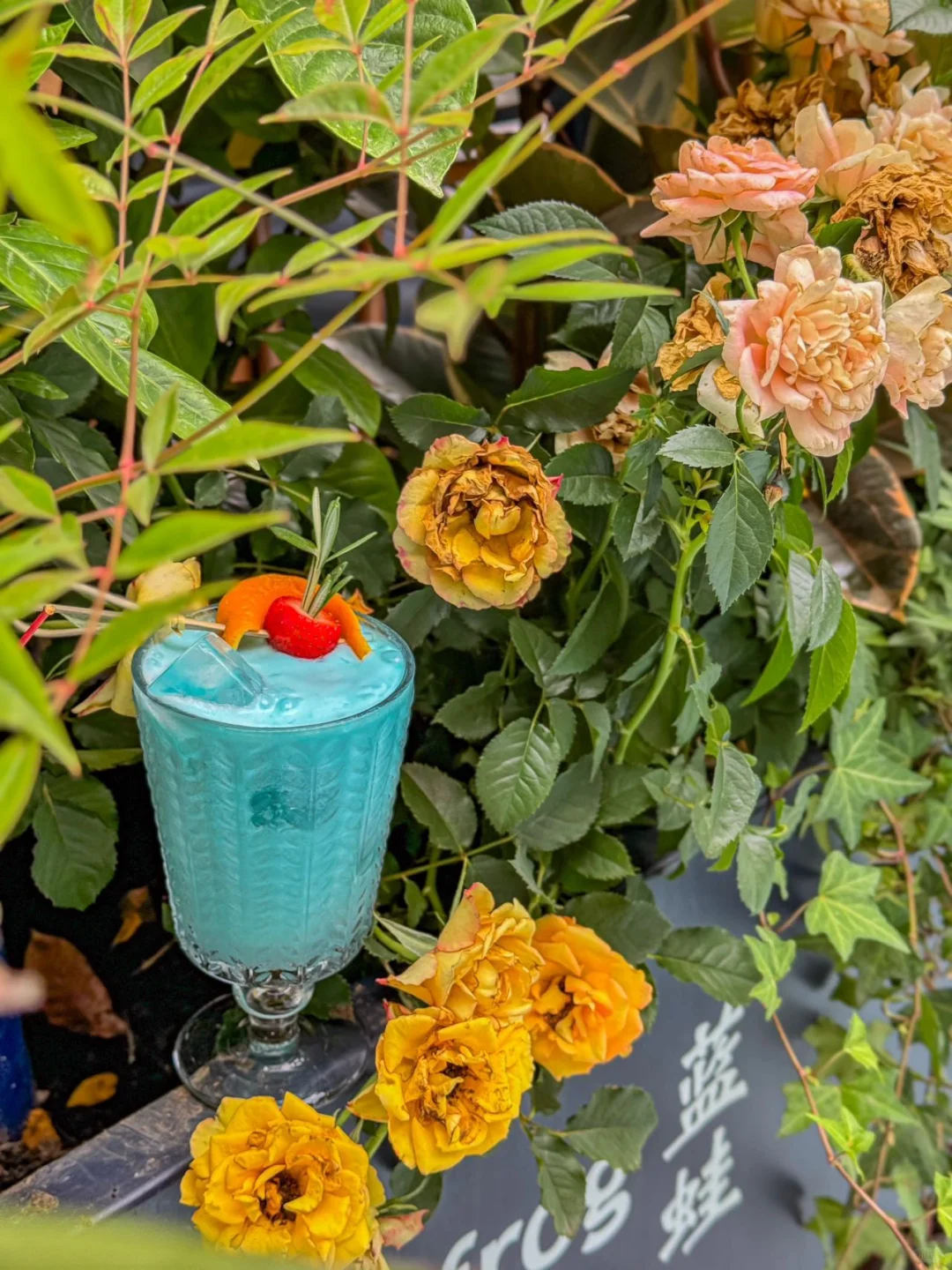 有没有喜欢吃蓝蛙的朋友‼️‼️