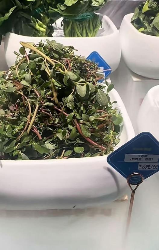 这——
这是认真的吗？
有认识这是什么菜的吗？
有没吃过的吗？