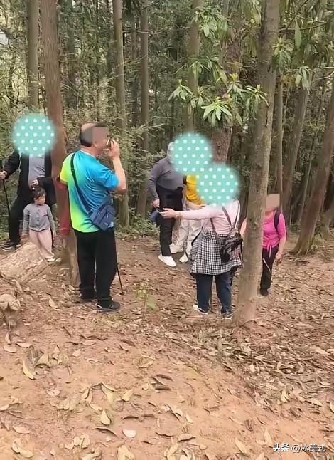 江西南昌，几名老人徒步去爬老四坡，爬到半山腰时，一老太体力不支，靠在旁边一棵大树