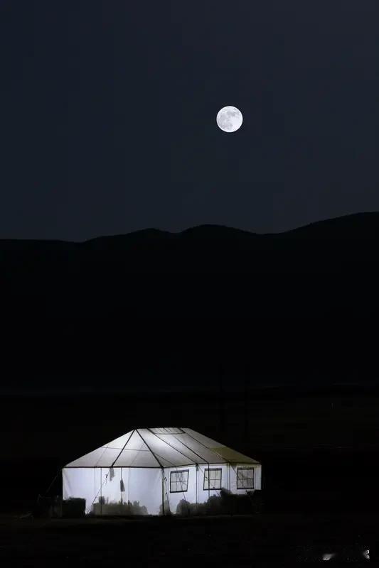 鹧鸪天·莫问

牧鞭脆，
草海掀千层翠，
驼绒毯暖，
月色落，马奶酒正热，

玉