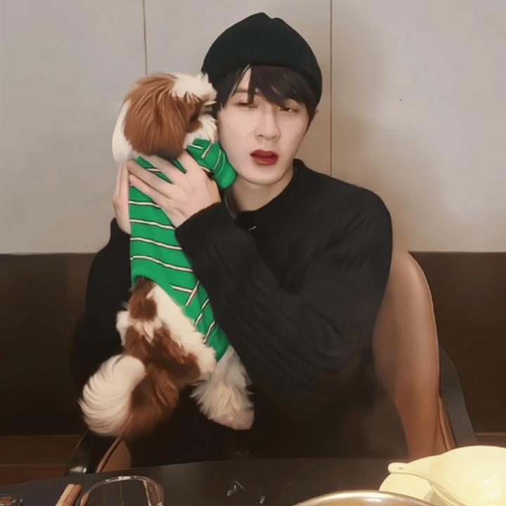 檀力球与檀小呆 呆呆球球就是这个世界上最幸福的🐶🐶檀健次被粉丝起哄清唱宠 檀