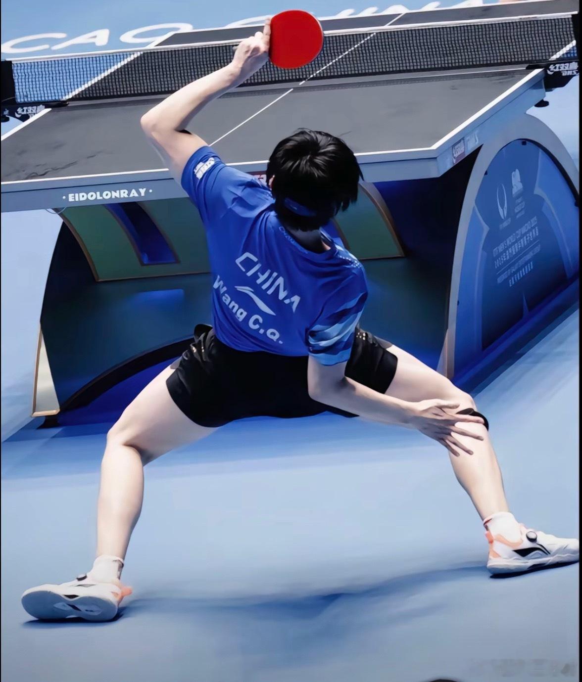 王楚钦孙颖莎的神图之一