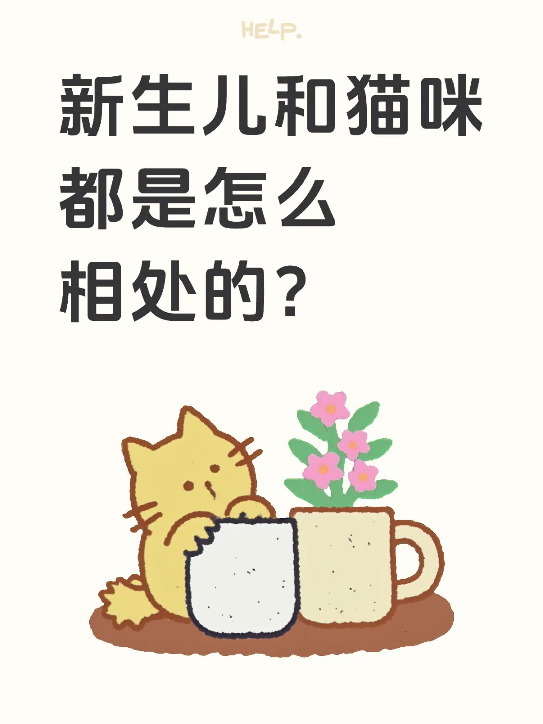 嫡长喵和宝宝如何相处更和谐呢！