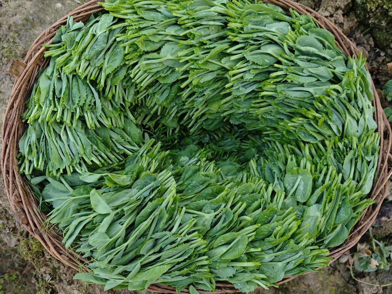 不是每一次坚持都要轰轰烈烈，有时只是醒来、起身、面对这一天，就是一场静默的胜利。