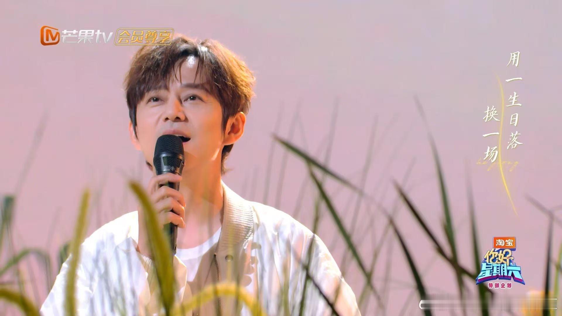 何炅闹哄哄治愈感你好星期六 何炅的温柔从不缺席，《闹哄哄》旋律温柔缱绻，嗓音干净