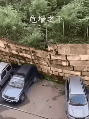 真有胆大的，危机时刻把车开走了。