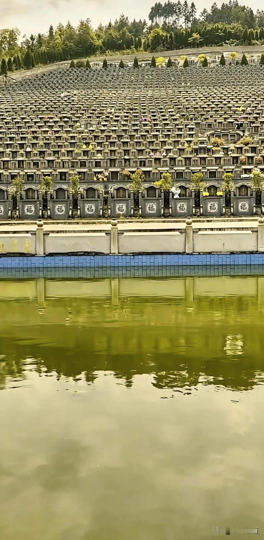 南山园陵园被姚国平承包，背后疑问重重，平远人盼拔出萝卜带出泥
 
平远南山园陵园