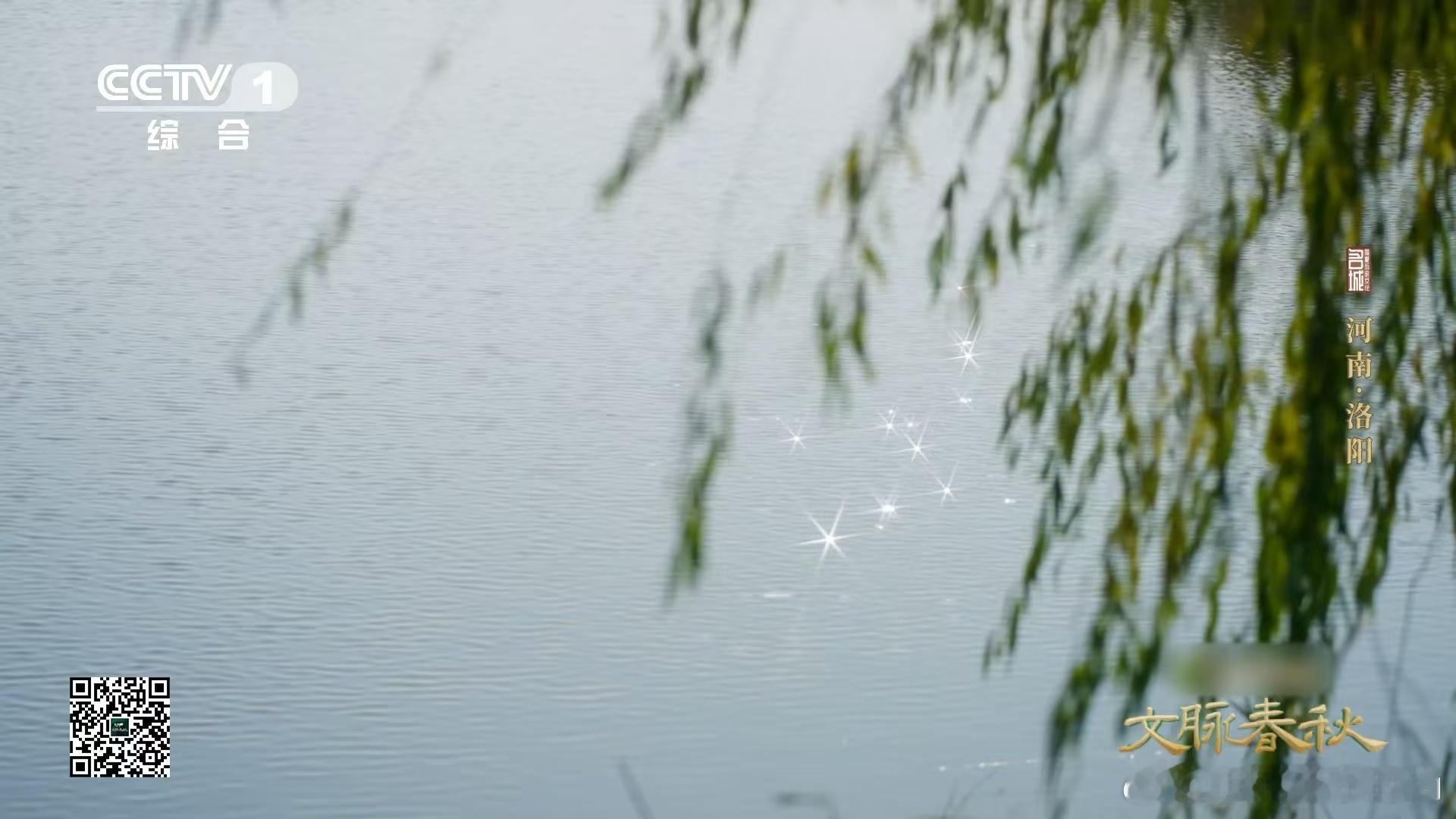 洛阳人一碗汤里也有满满古风  洛阳人对于他的执着或许外人不懂，而这汤的历史能追溯