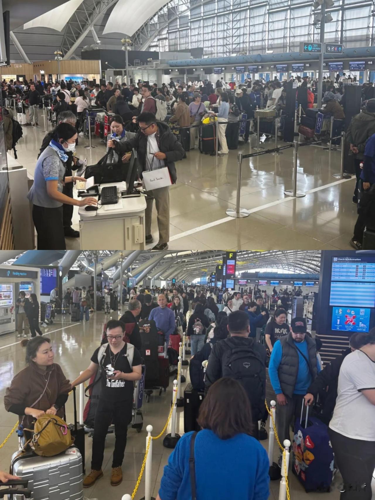 当初非要闹腾着去日本！

现在终于知道回不来了吧！

这就是去日本的代价和后果。