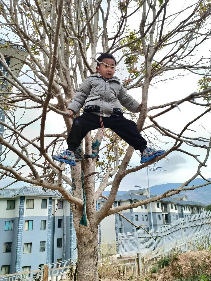 史上第一个挨揍后报警抓妈妈的熊孩子诞生了[捂脸]
3月18日，河南省焦作市一6岁