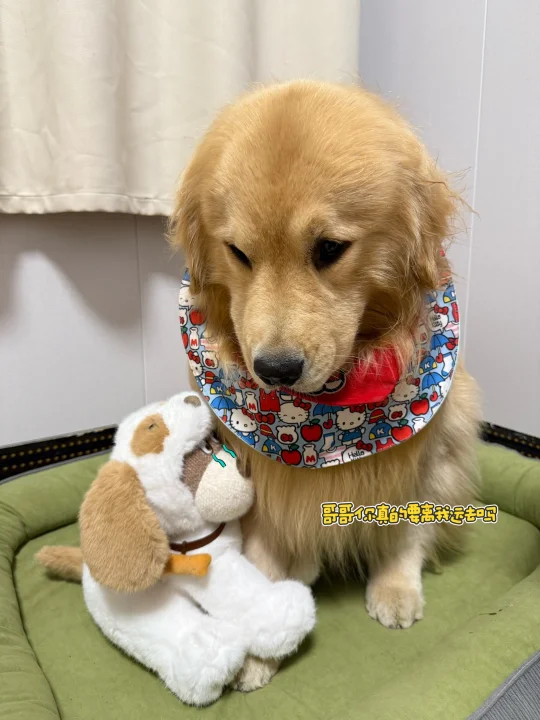 Ok：妈妈你看它