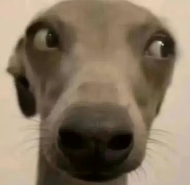 真的不想再看互联网上那些又不分手又要抱怨向陌生女性索取情绪价值充电完又回去忍垃圾