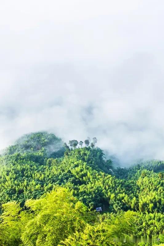 看到“雾绕青山诗意里”这个上联，我脑海中立马浮现出“霞披绿野画情中”这句下联。清