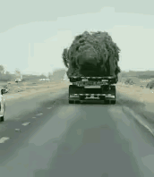 你看明白了吗？
这是梦幻，还是实景！第一感官是一只怪兽，够庞然大物，浑身抖动，威